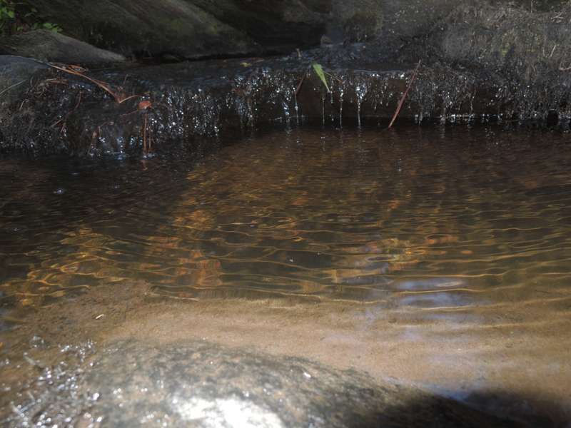 dscn0676p.jpg