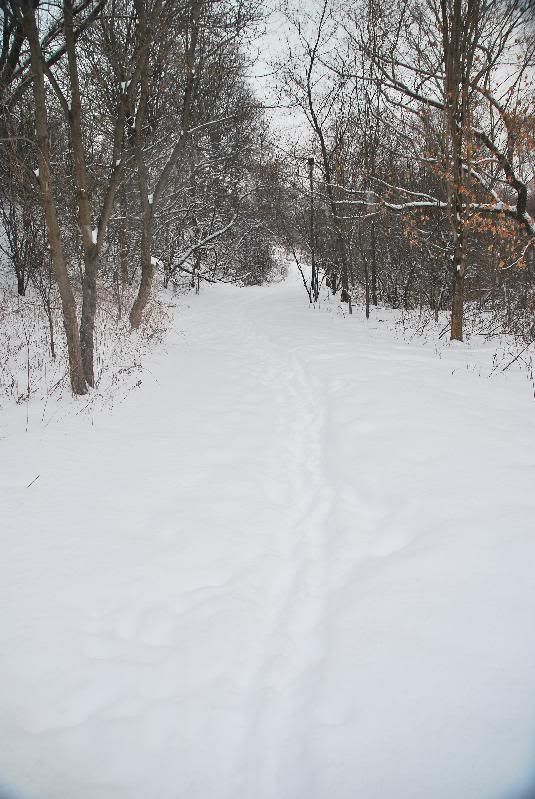 ravine2.jpg