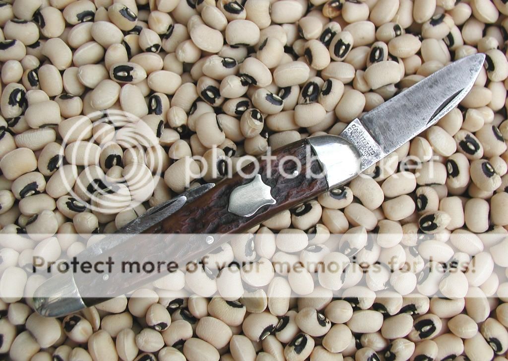 Camillusonpeas.jpg