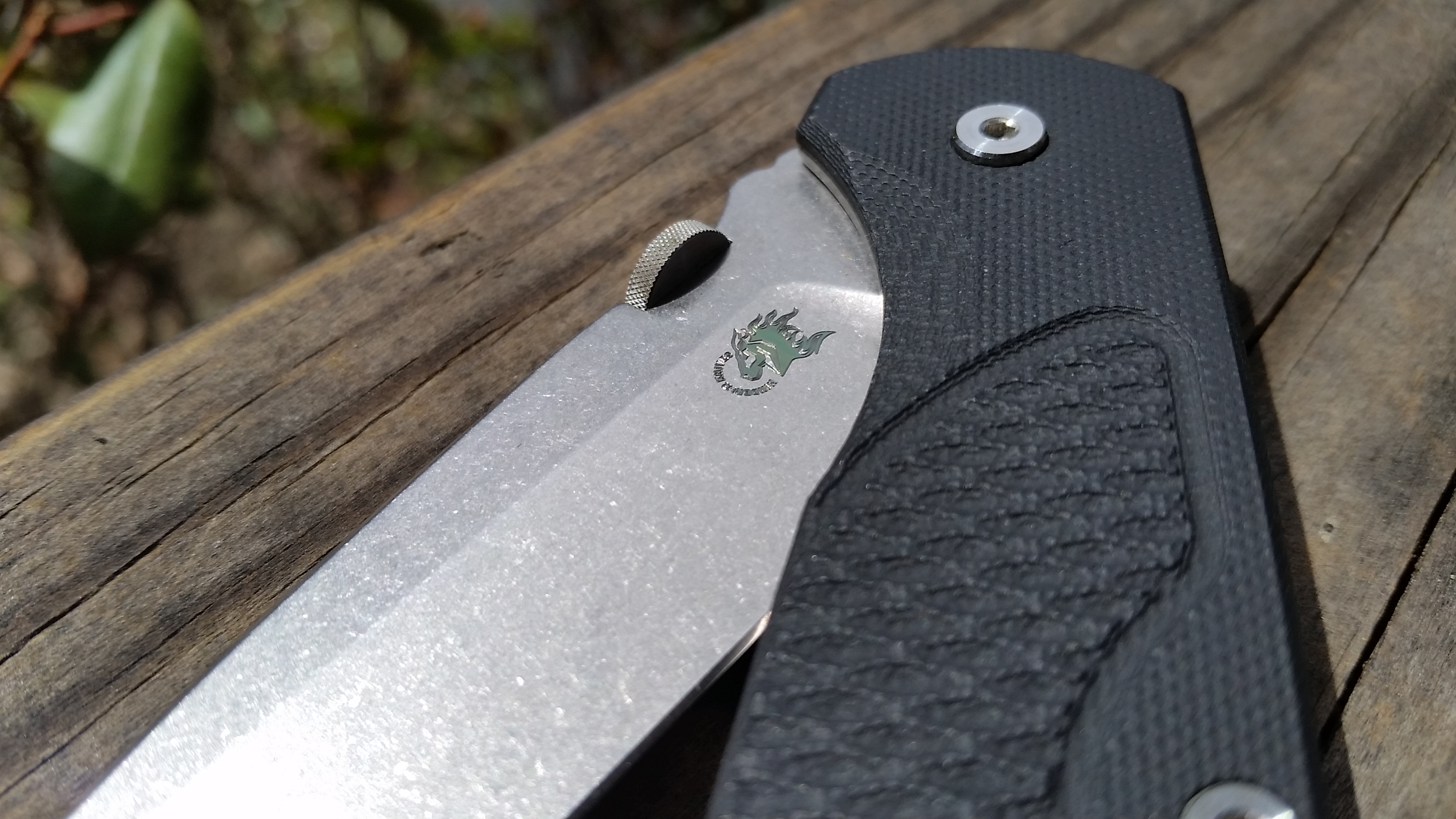 dYar116.jpg