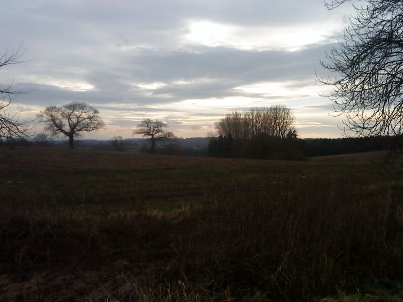 DSC00057.jpg