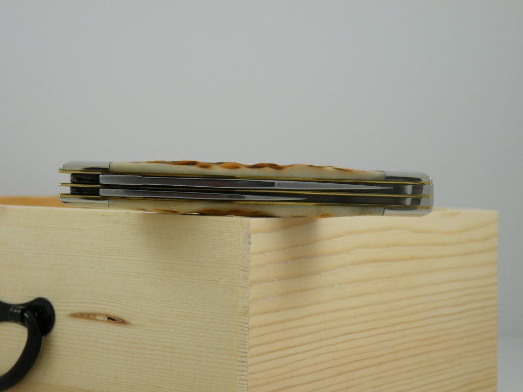 CASE077-3.jpg