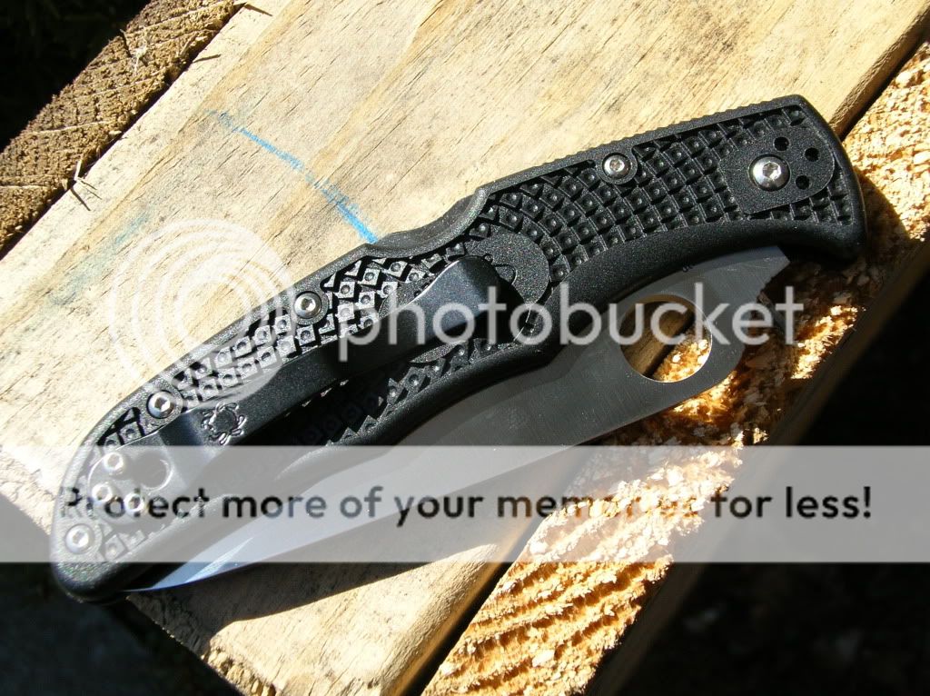 DSCN2358.jpg