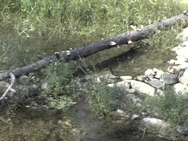 3Tarwar2logs007.jpg