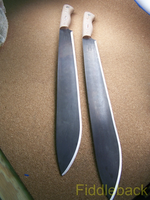 20110111100_3757-vi.jpg
