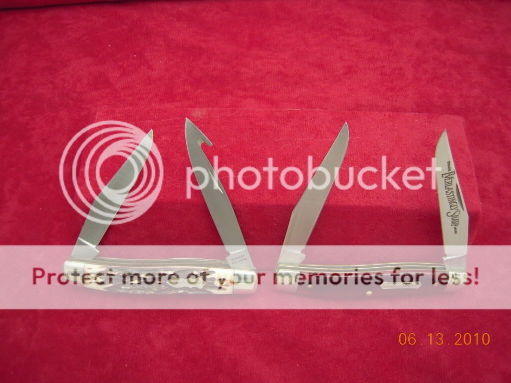 DSCN3039.jpg