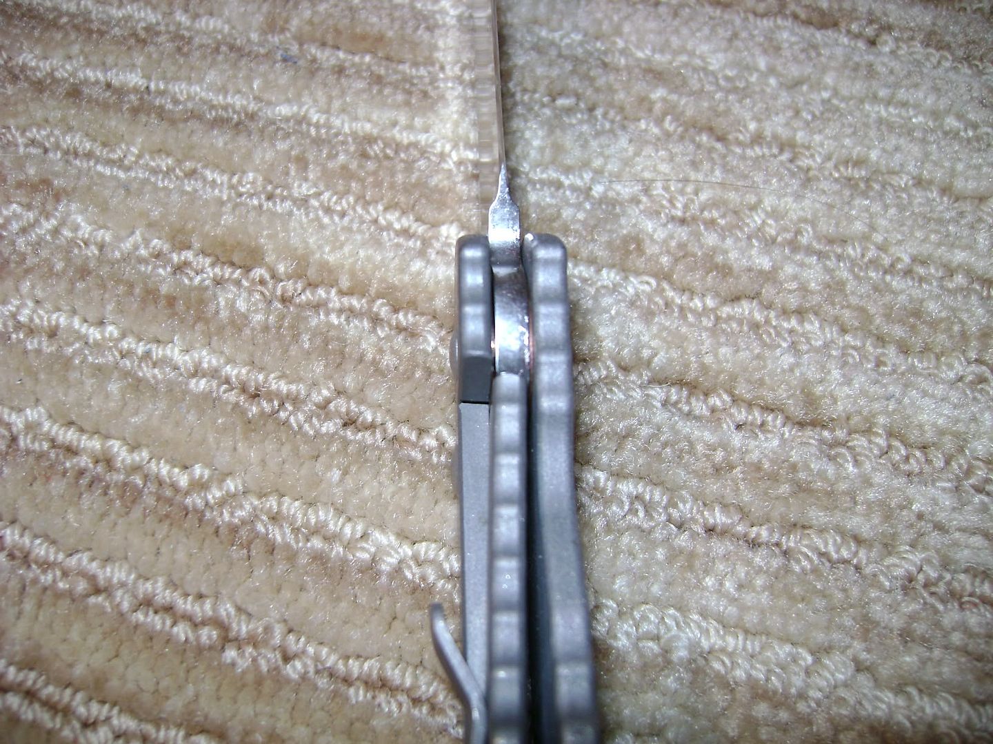 aug08014.jpg