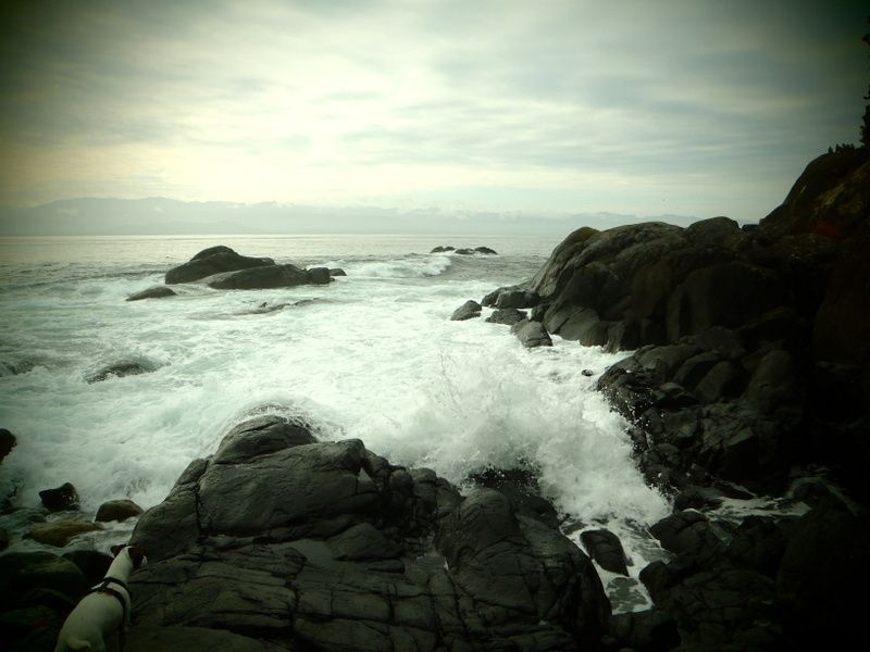 EastSookFall2012005.jpg