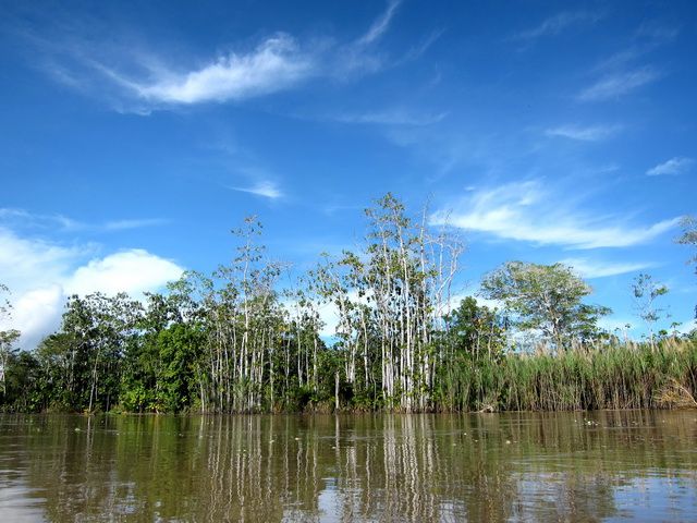 IMG_8605.jpg