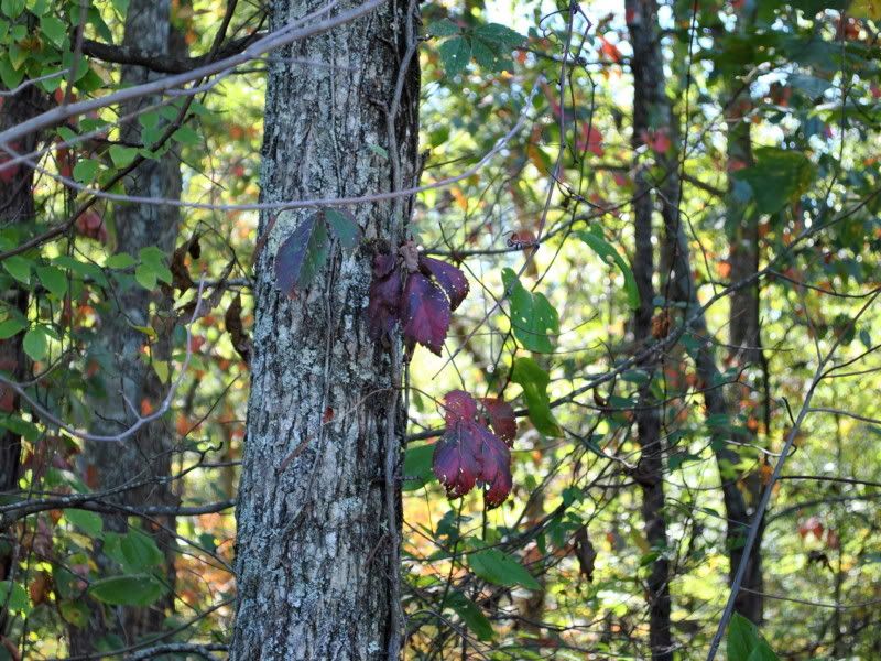 DSC_3265.jpg