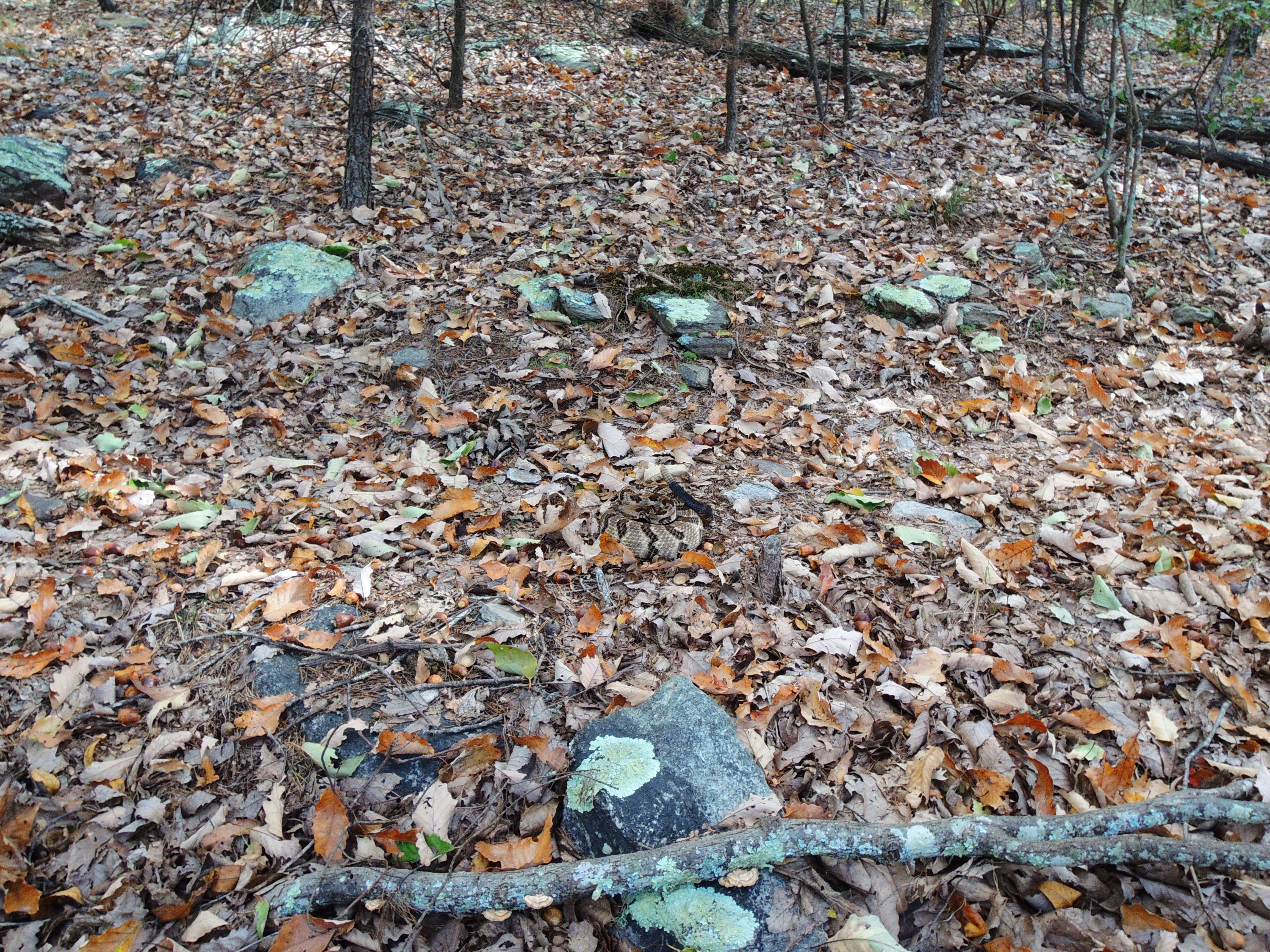 dscn2778q.jpg