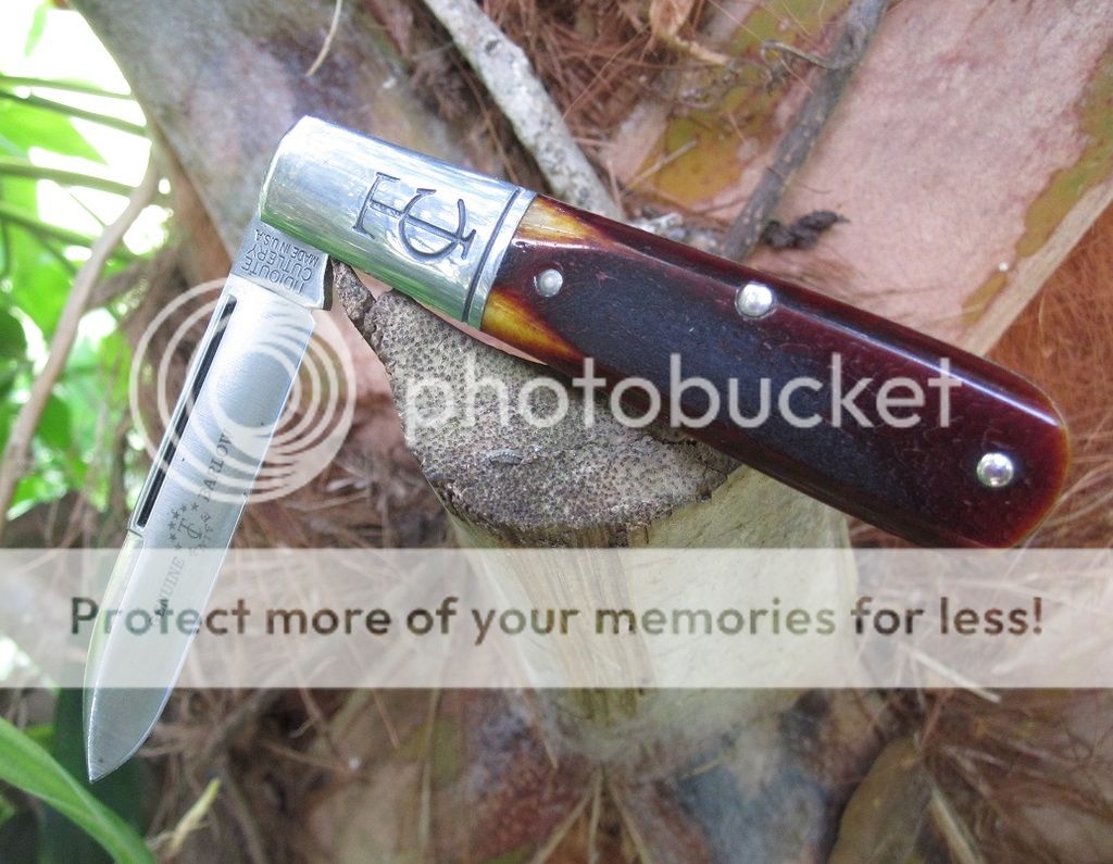 IMG_4373_zpsr6rarn9f.jpg~original