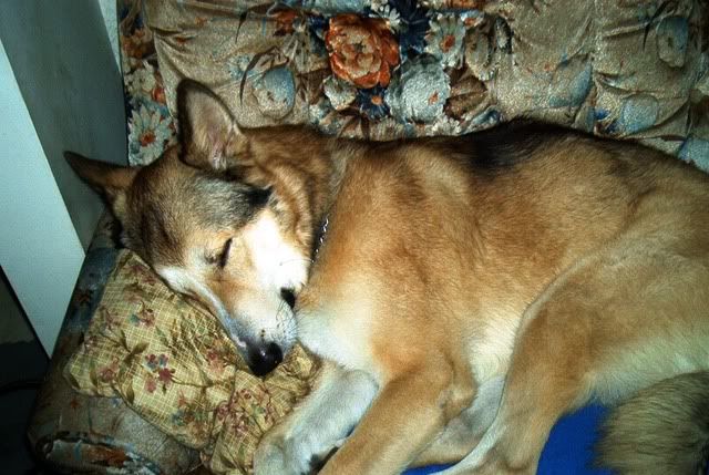 Odieoncouch.jpg