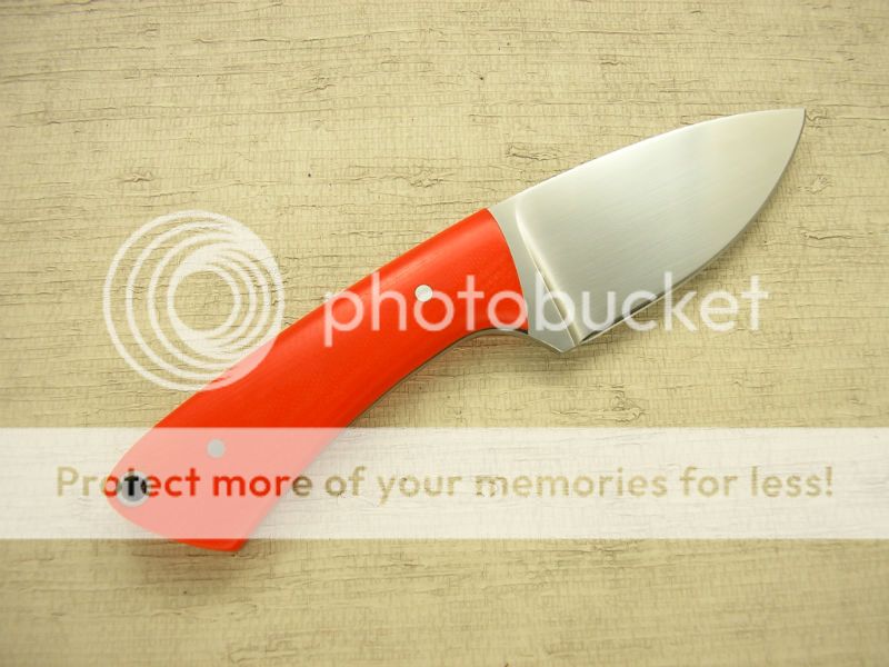 IMGP2064_zpsdd7bb397.jpg