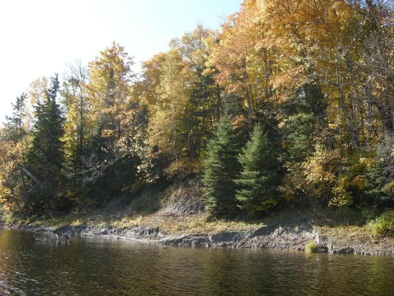 DSCN1629.jpg