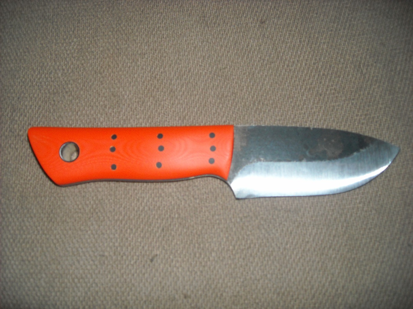 DSCN1838-vi.jpg