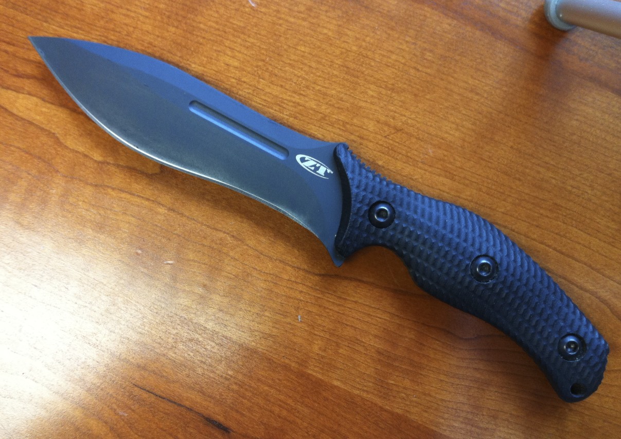 ZT0100-b.jpg