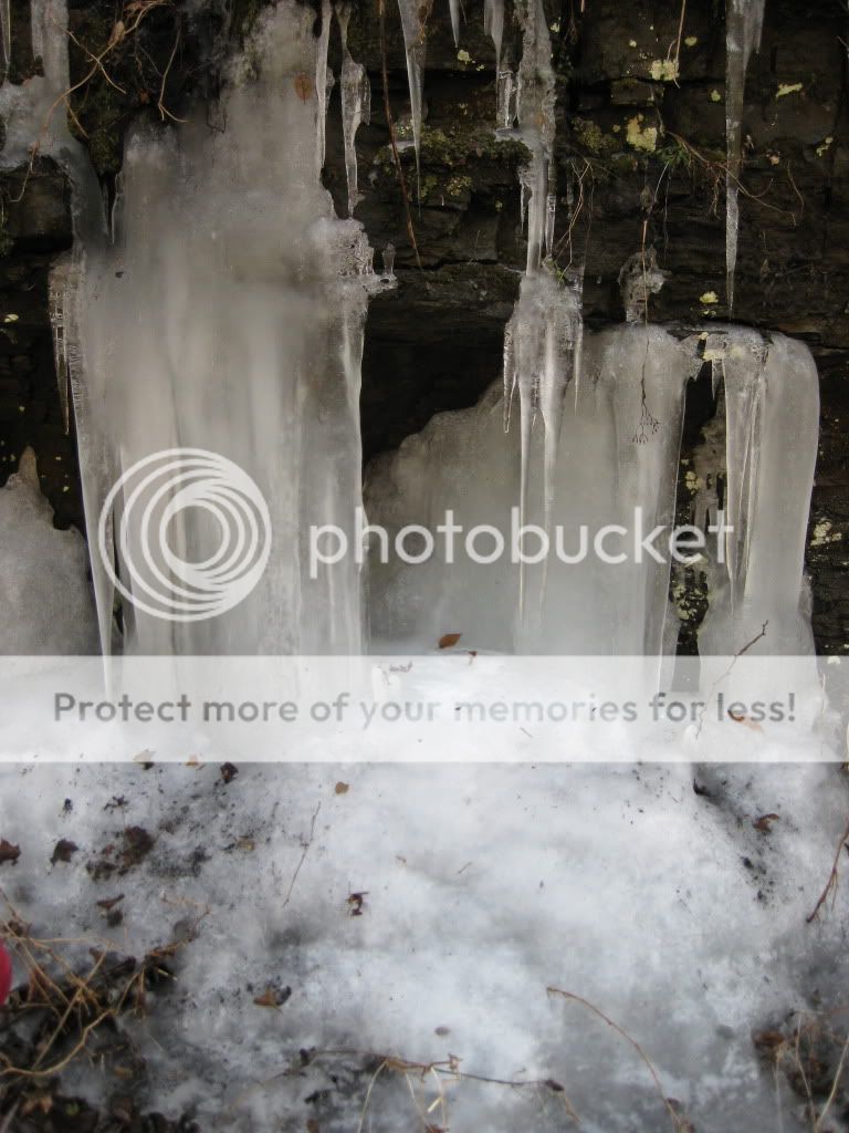 IMG_0723.jpg
