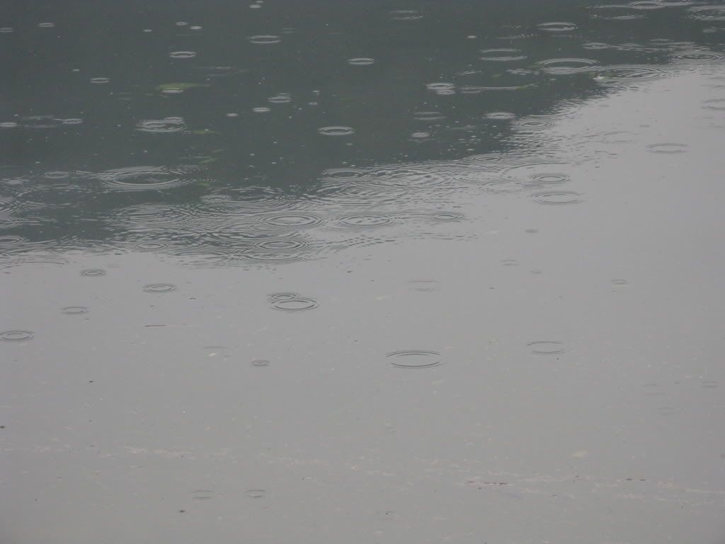 rain.jpg