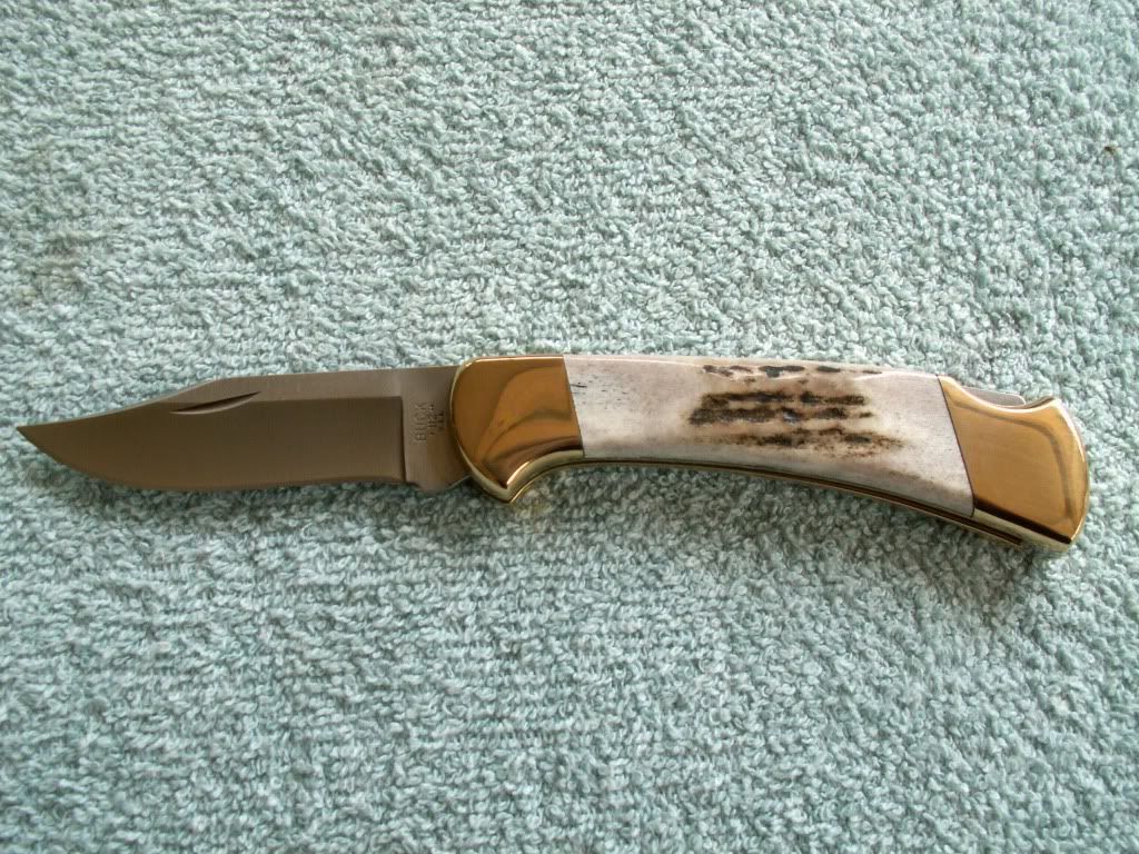 Stag112f.jpg