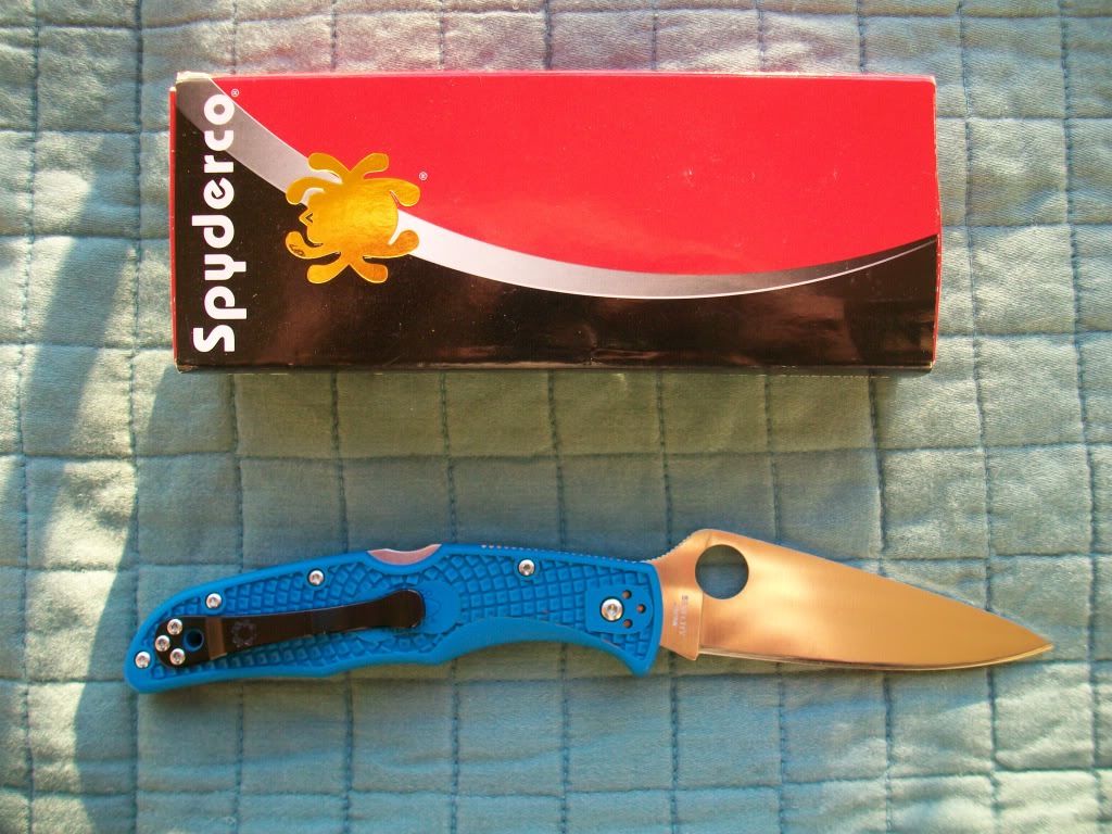 100_3795.jpg