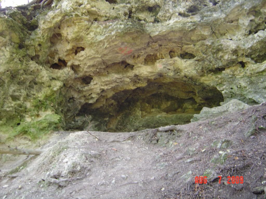 DSC01386.jpg