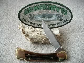 Buck110DropPoint486Blade1.jpg