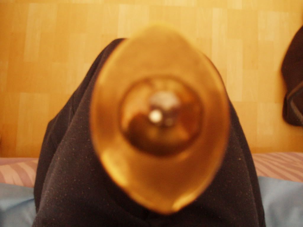 P1010510.jpg