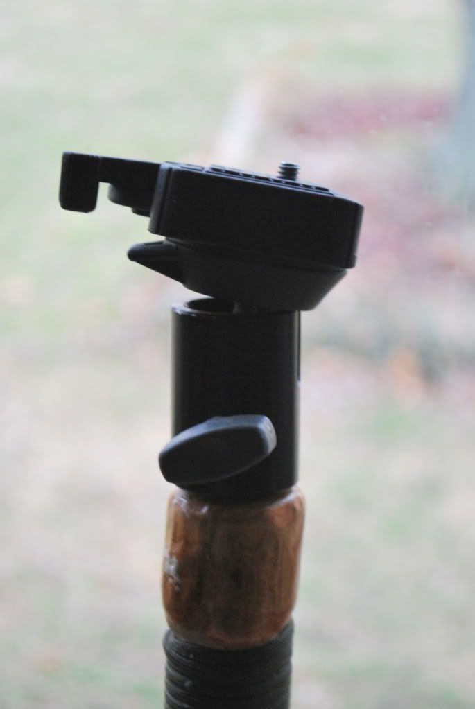 DSC_0003-14.jpg