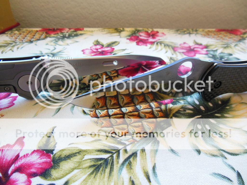DSCN2500_zpsis11qddw.jpg
