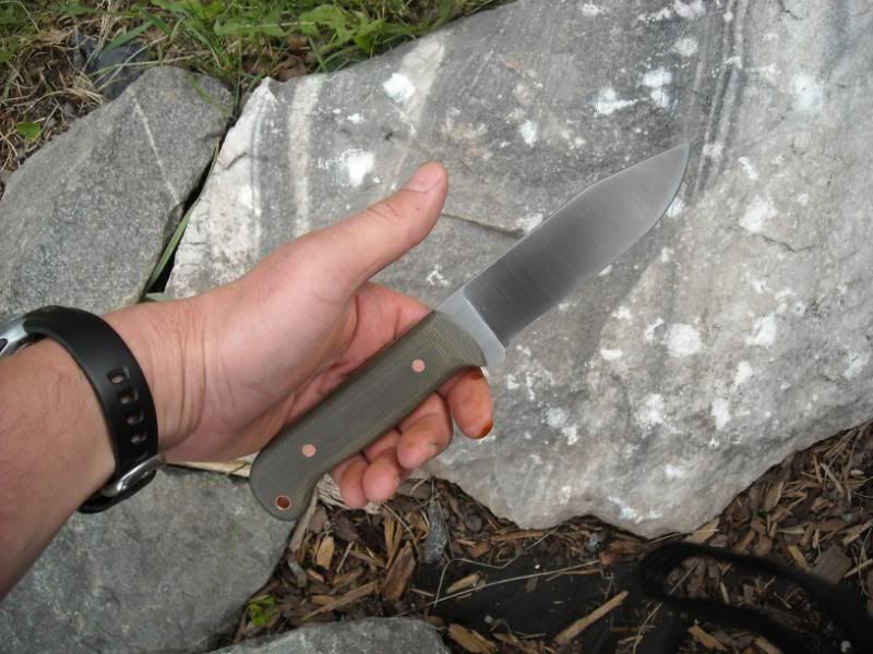 316sgreenhunter005.jpg
