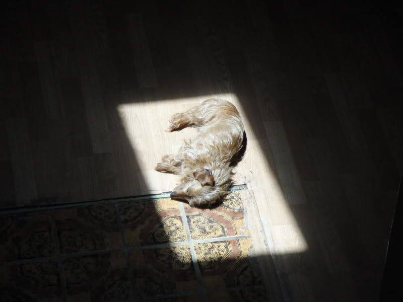DSC00245.jpg