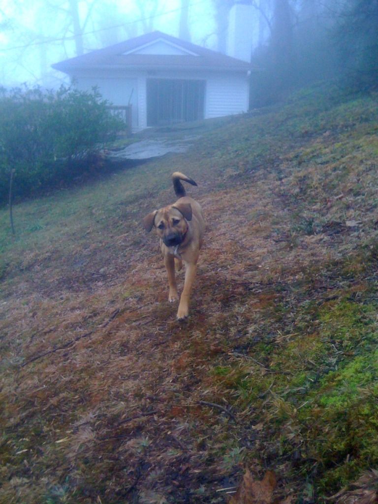 June102012318.jpg