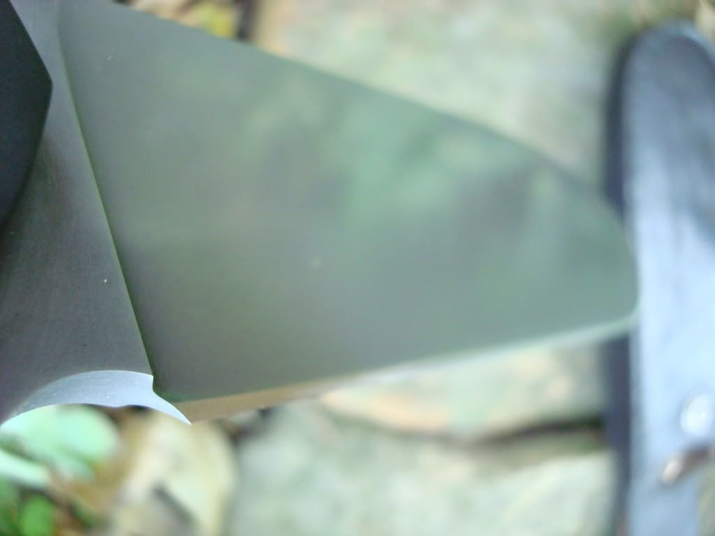 R_Laconico_Camp51605.jpg