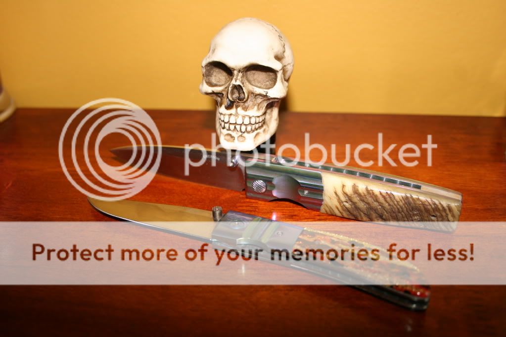 IMG_5295.jpg