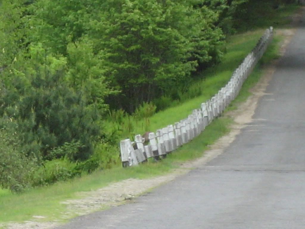 Picture105.jpg