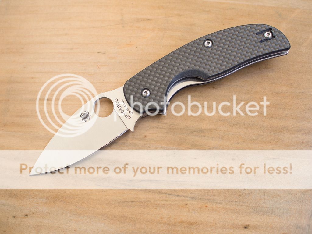 P6220008.jpg~original