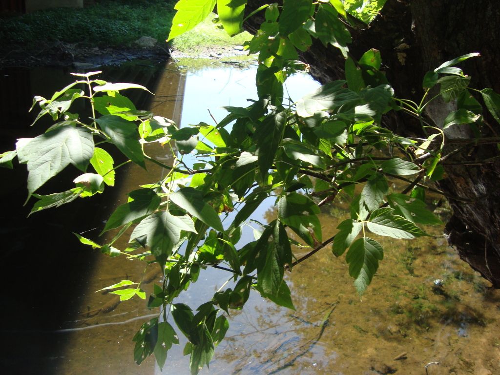 DSC05308.jpg