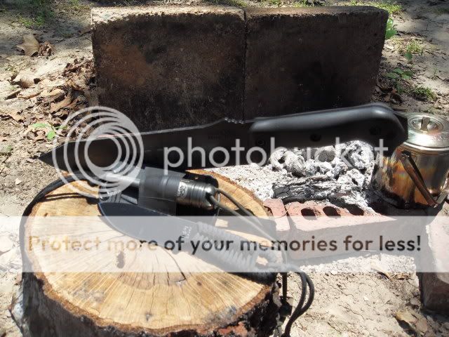 SDC11178.jpg