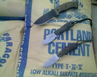 050407_17131.jpg
