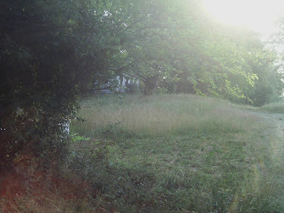IMAG0154.JPG