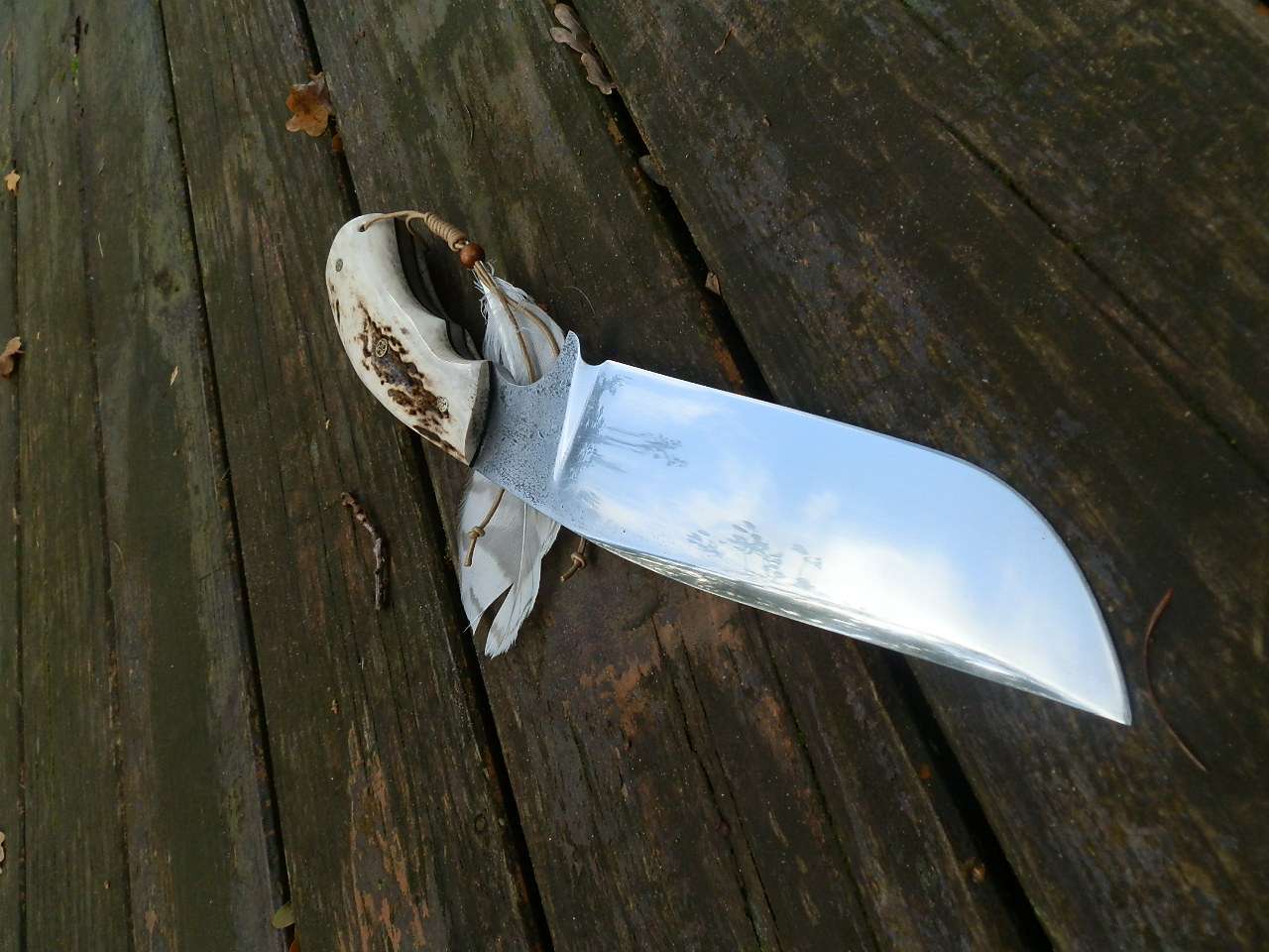 pa093579.jpg