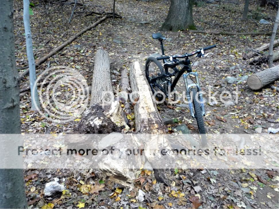 MTBGraham003.jpg