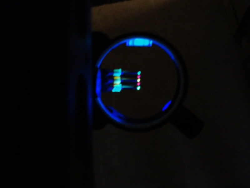 DSC06600.jpg