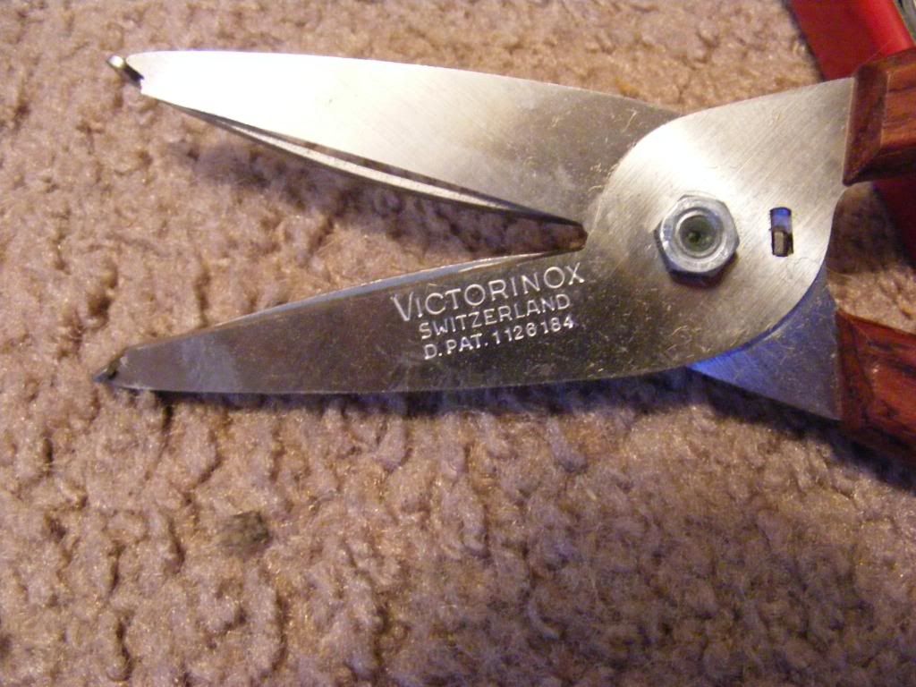 002-88.jpg