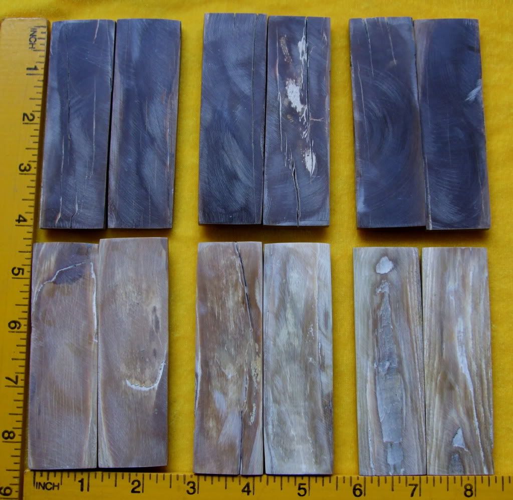 DSCF1075.jpg