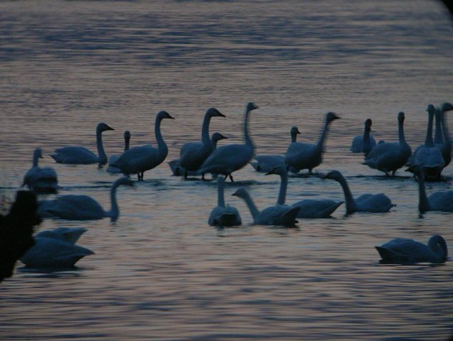 2008.02.21.R0014633.JPG