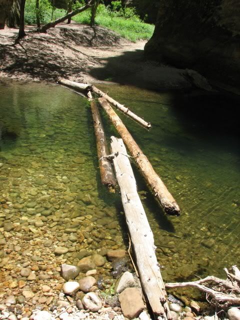 IMG_2262.jpg