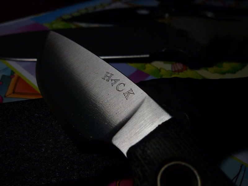 P1010015-1.jpg