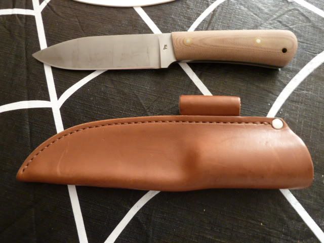 P1000330.jpg